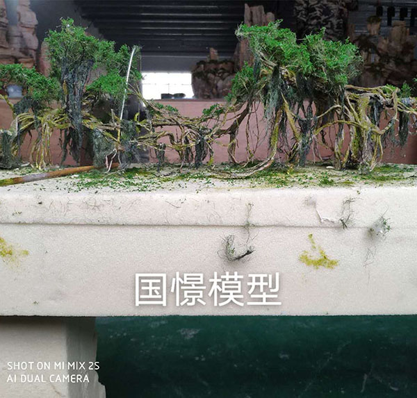 仲巴县场景模型