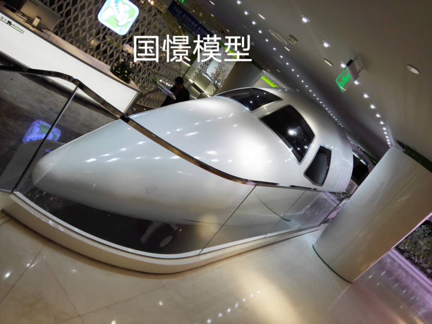 仲巴县大型仿真模型道具