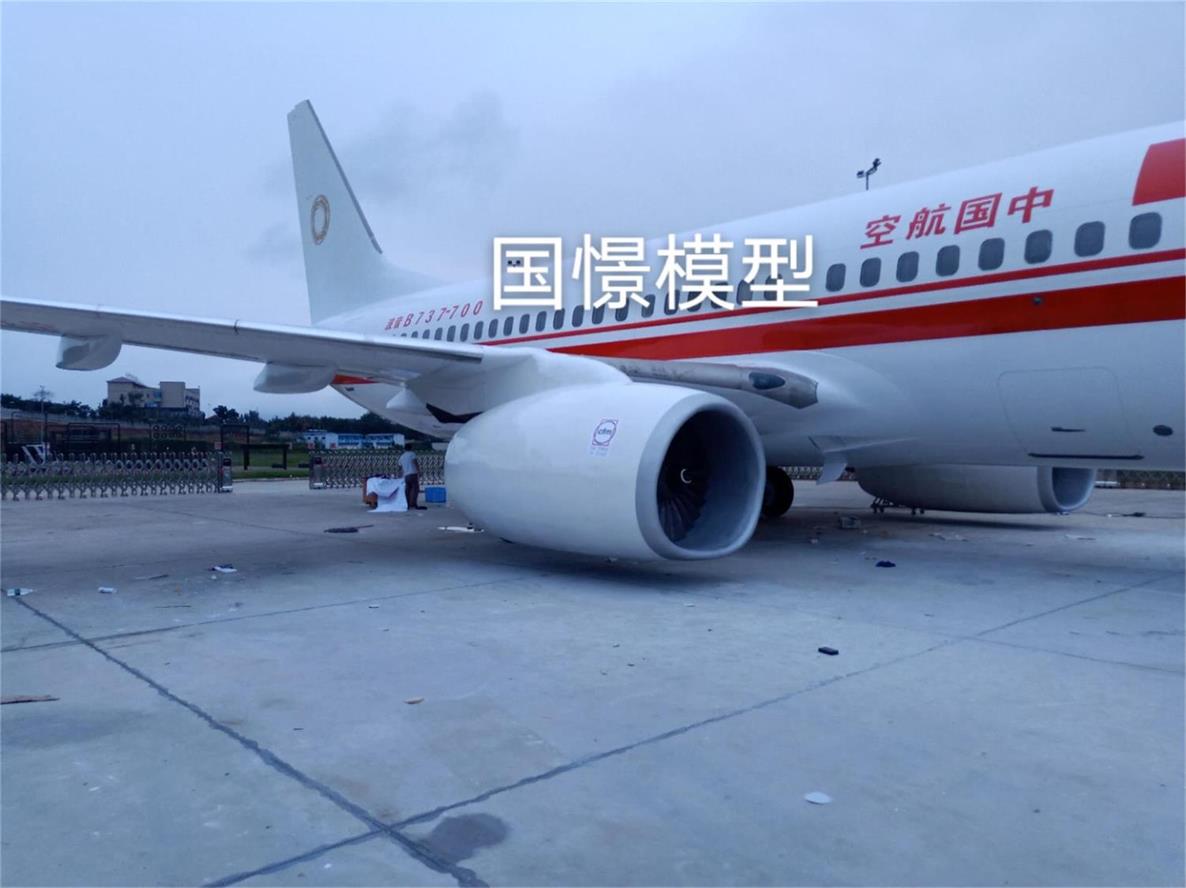 仲巴县飞机模拟仓