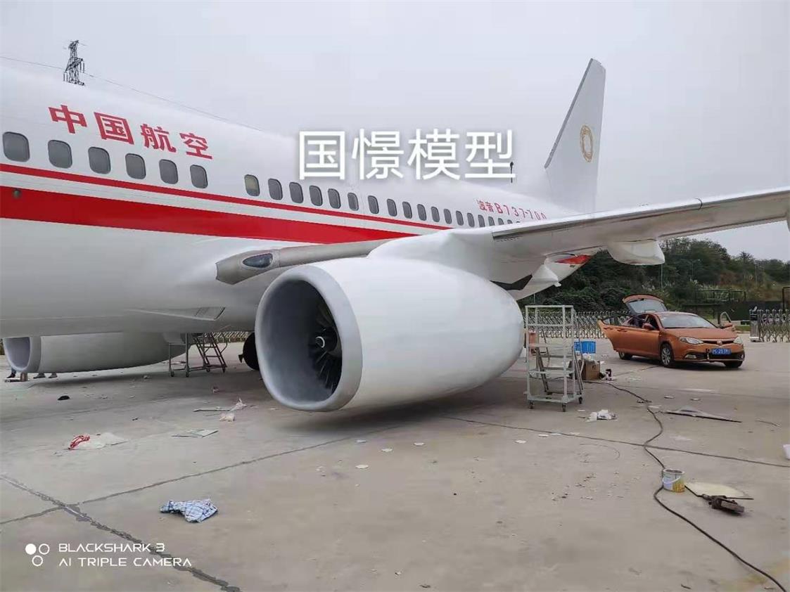 仲巴县飞机模型