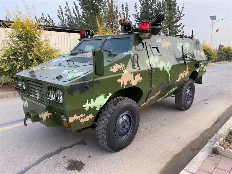 仲巴县军事模型